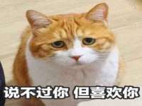 上海喜慕文化传媒有限公司
