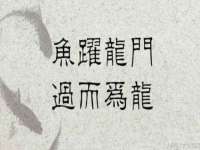 上海喜慕文化传媒有限公司