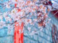 上海喜慕文化传媒有限公司