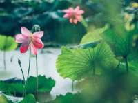 上海喜慕文化传媒有限公司