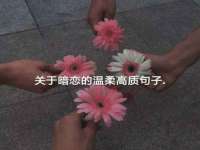 上海喜慕文化传媒有限公司