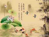 上海喜慕文化传媒有限公司