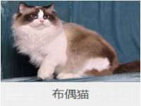 上海喜慕文化传媒有限公司