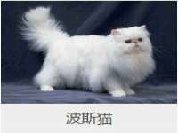 上海喜慕文化传媒有限公司