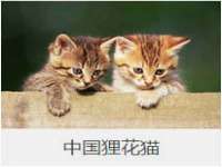 上海喜慕文化传媒有限公司