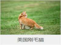 上海喜慕文化传媒有限公司