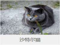 上海喜慕文化传媒有限公司