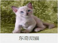 上海喜慕文化传媒有限公司