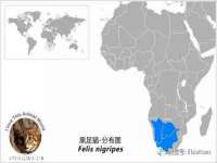 上海喜慕文化传媒有限公司