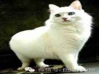 上海喜慕文化传媒有限公司