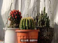 上海喜慕文化传媒有限公司