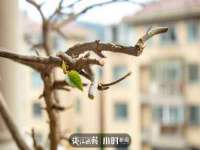 上海喜慕文化传媒有限公司