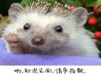 上海喜慕文化传媒有限公司