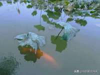 上海喜慕文化传媒有限公司