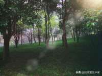 上海喜慕文化传媒有限公司