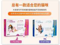 上海喜慕文化传媒有限公司