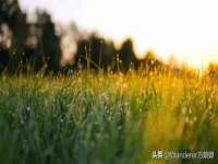 上海喜慕文化传媒有限公司