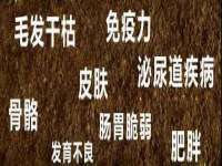 上海喜慕文化传媒有限公司