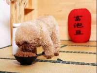 上海喜慕文化传媒有限公司