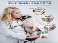 上海喜慕文化传媒有限公司