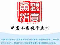 上海喜慕文化传媒有限公司