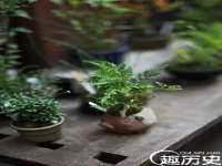 上海喜慕文化传媒有限公司
