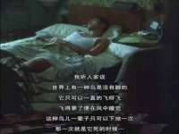 上海喜慕文化传媒有限公司