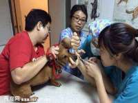 上海喜慕文化传媒有限公司