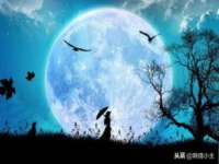 上海喜慕文化传媒有限公司