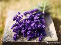 上海喜慕文化传媒有限公司