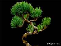 上海喜慕文化传媒有限公司