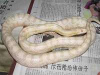 上海喜慕文化传媒有限公司