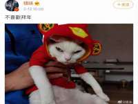 上海喜慕文化传媒有限公司