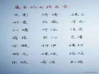 上海喜慕文化传媒有限公司